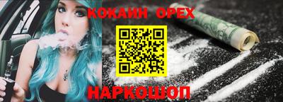 гидра Кандалакша