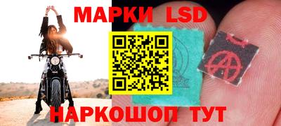 гидра Кандалакша