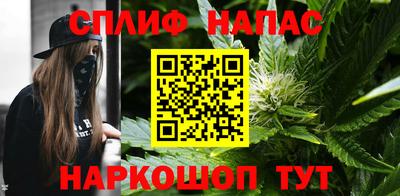 apvp Камышлов