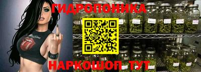 apvp Камышлов