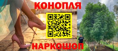 гидра Кандалакша