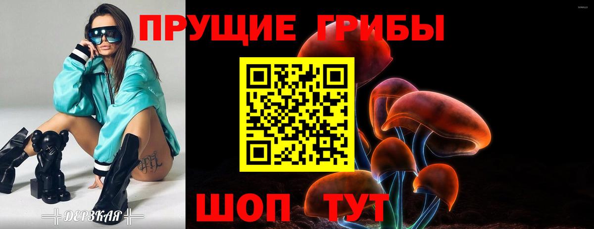 Галлюциногенные грибы Psilocybine cubensis  Вход с VPN  Галлюциногенные грибы Psilocybe  Краснознаменск 